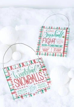Raz 6.75" Set Of 2 Snowballs For Sale Christmas Ornament 4216160