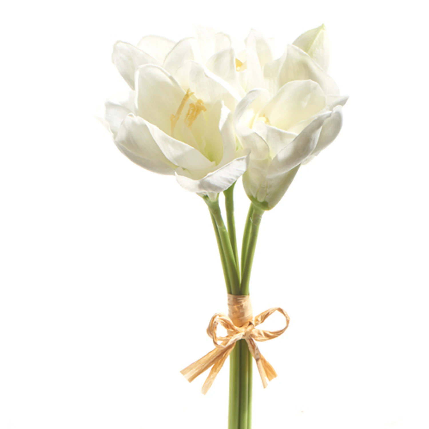 Raz 12" Real Touch White Amaryllis Bundle F4302310 Raz 12" Real Touch White Amaryllis Bundle F4302310 -The Jolly Christmas Shop F4302310 1 16031.1685993892