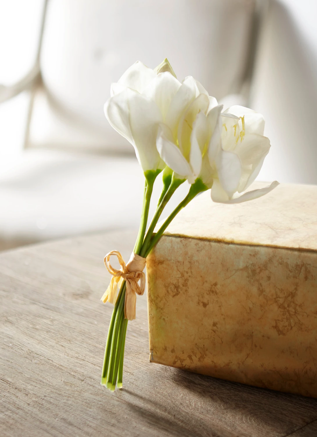 Raz 12" Real Touch White Amaryllis Bundle F4302310 Raz 12" Real Touch White Amaryllis Bundle F4302310 -The Jolly Christmas Shop F4302310 94163.1685993888