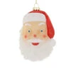 Cody Foster 3.25" Santa Face Blow Mold Glass Christmas Ornament GO-8877