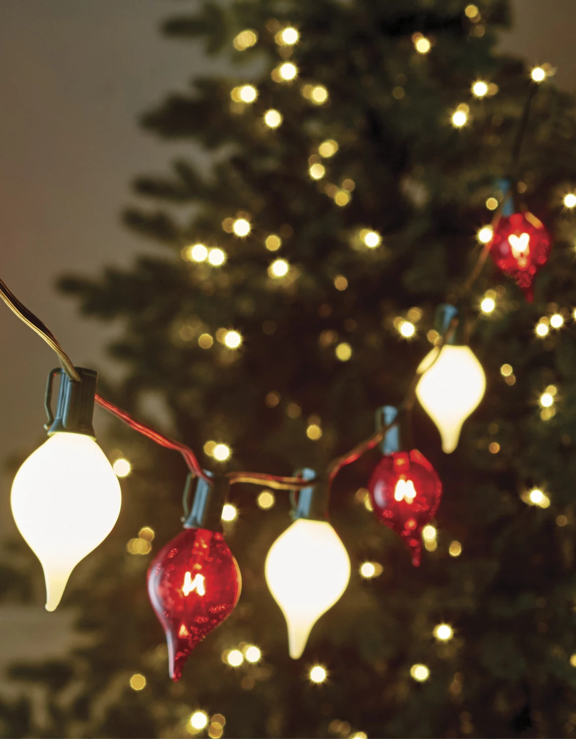 Raz 14' Connectable Shiny Kismet String Lights with Red and White Lights on a Green Wire L4237025 Raz 14' Connectable Shiny Kismet String Lights With Red And White Lights On A Green Wire L4237025 -The Jolly Christmas Shop L4237025 94077.1688071294