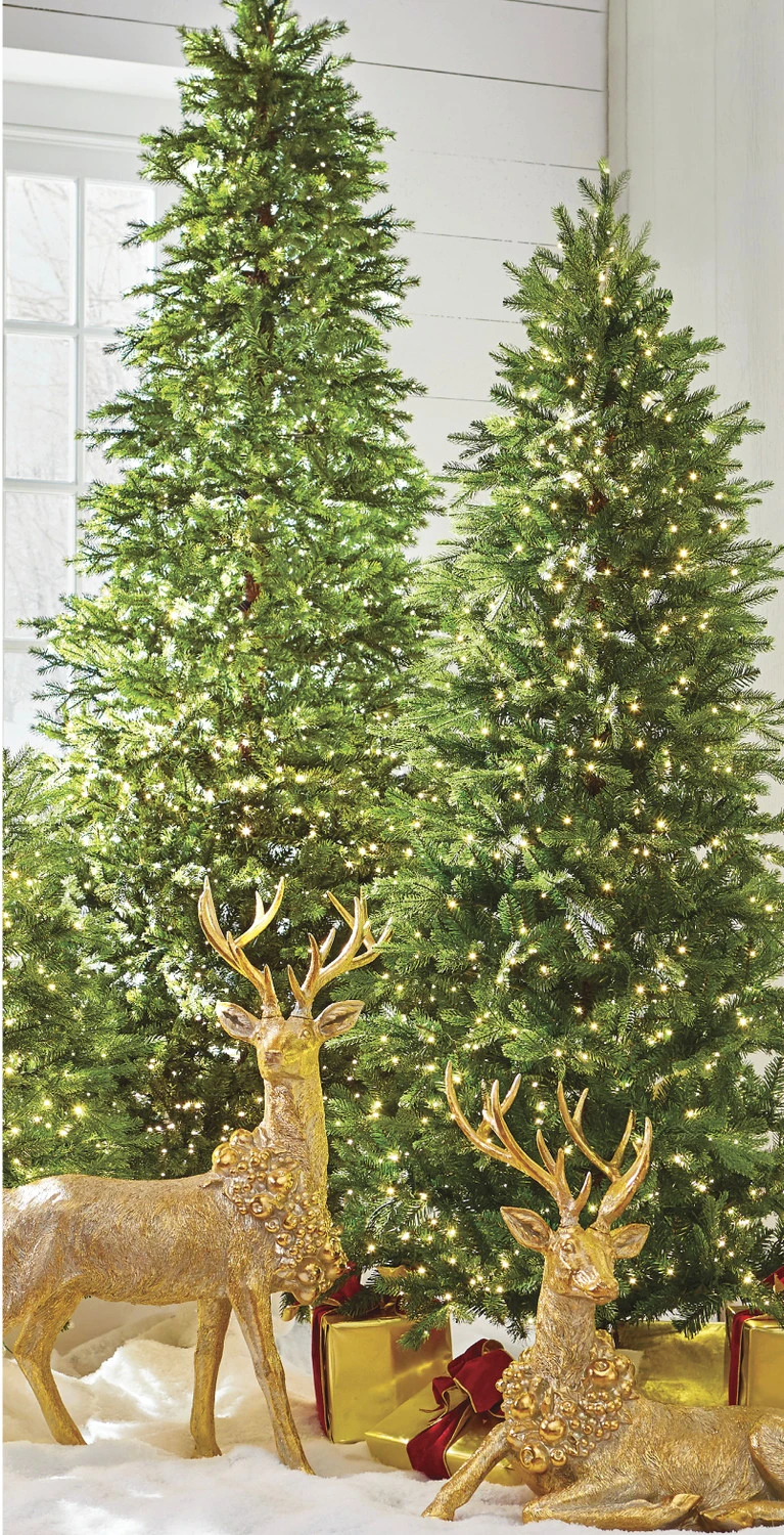 Raz 7.5' or 9' Snake Light Green Slim Spruce Artificial Christmas Tree Raz 7.5' Or 9' Snake Light Green Slim Spruce Artificial Christmas Tree -The Jolly Christmas Shop T3952016 T3952015 58955.1688127036