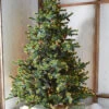 Raz 7.5' Forever Lit Green Big Sky Spruce Christmas Tree T4352009