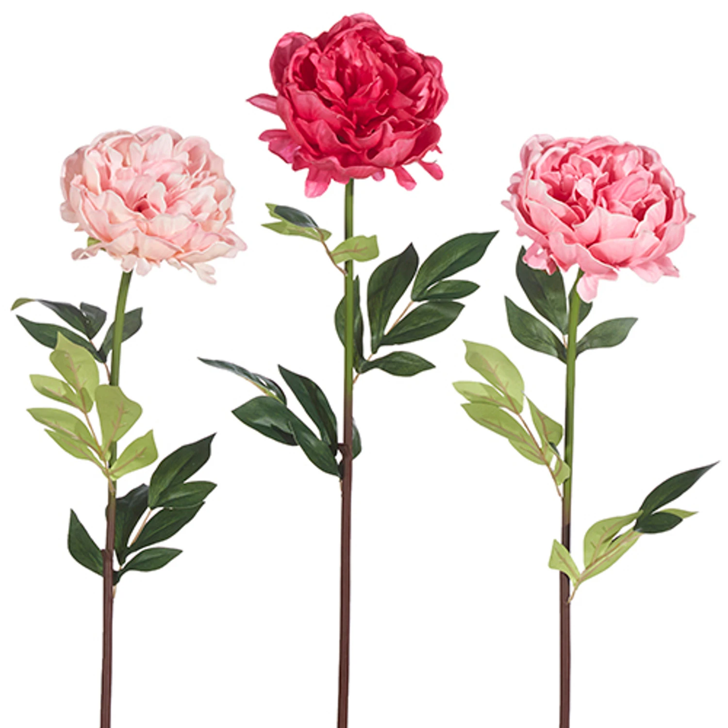Raz 25" Real Touch Peony Stem Christmas Pick XF4002107 Raz 25" Real Touch Peony Stem Christmas Pick XF4002107 -The Jolly Christmas Shop XF4002107 65412.1686687105